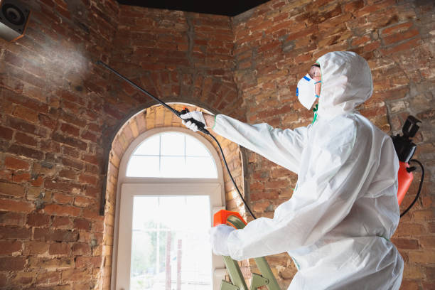 Best Mold Remediation for Healthcare Facilities  in Oglesby, IL